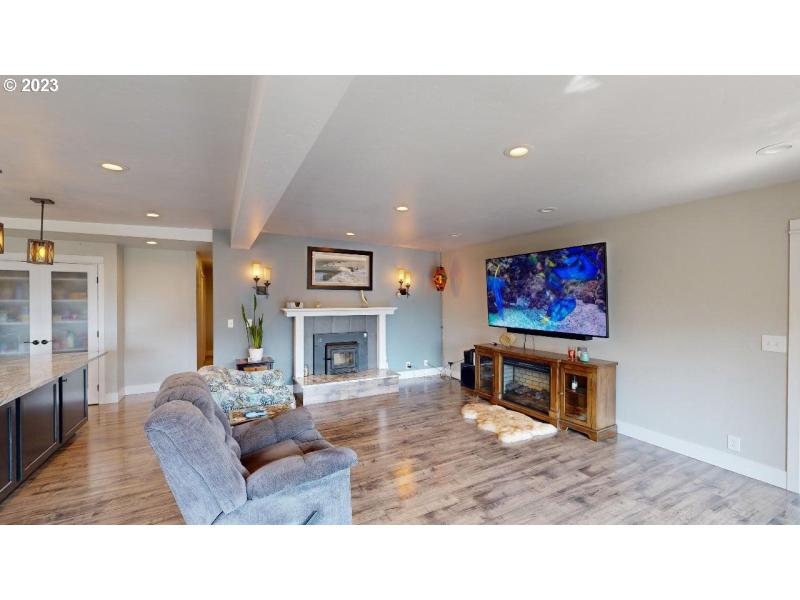 Fireplace Gas Burning Stove/Insert