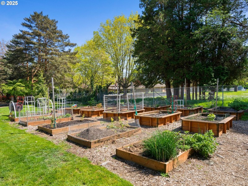 Community Garden