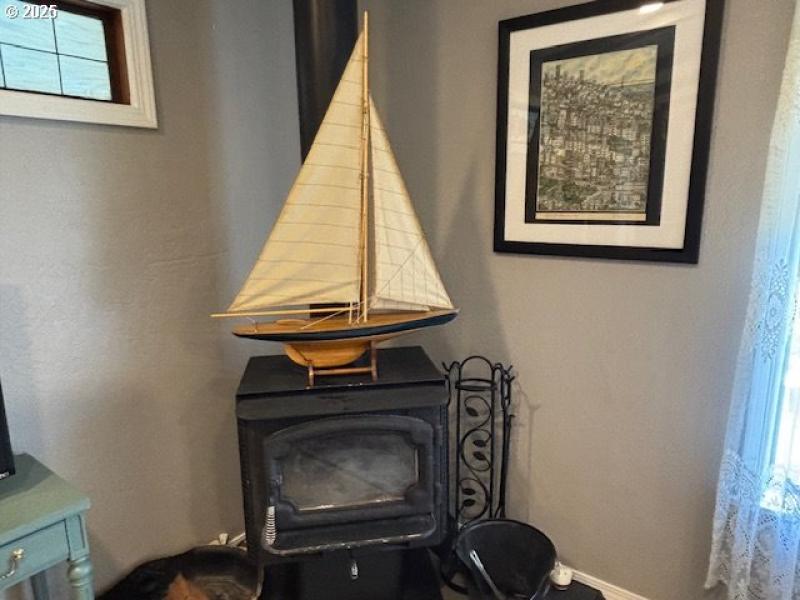 Fireplace Wood Burning Stove/Insert