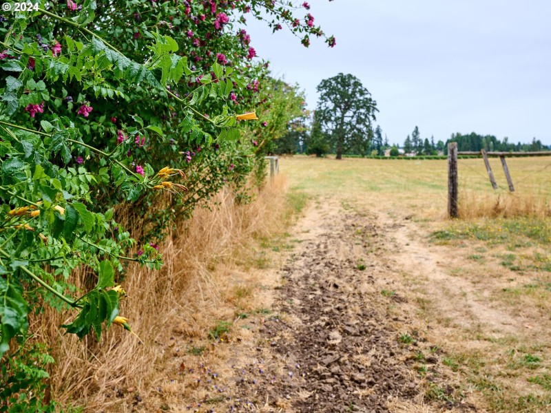 Pasture