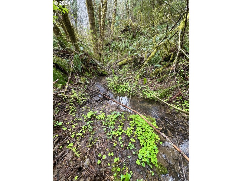 Creek
