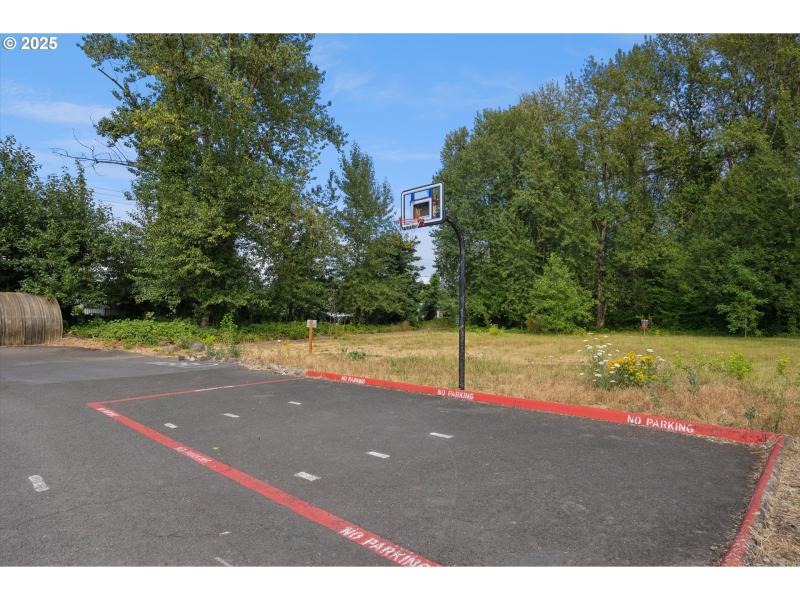 Community Basketball