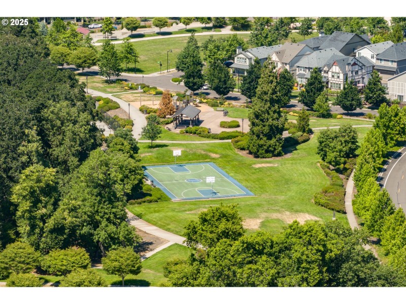 Community Basketball