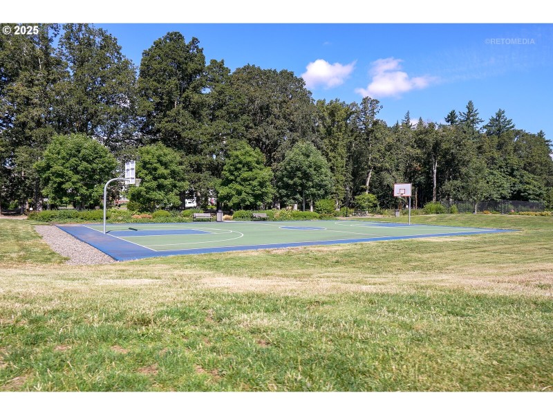 Community Basketball