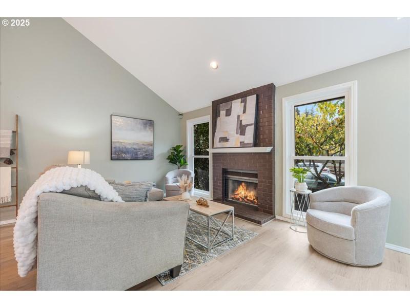 Fireplace Wood Burning Stove/Insert