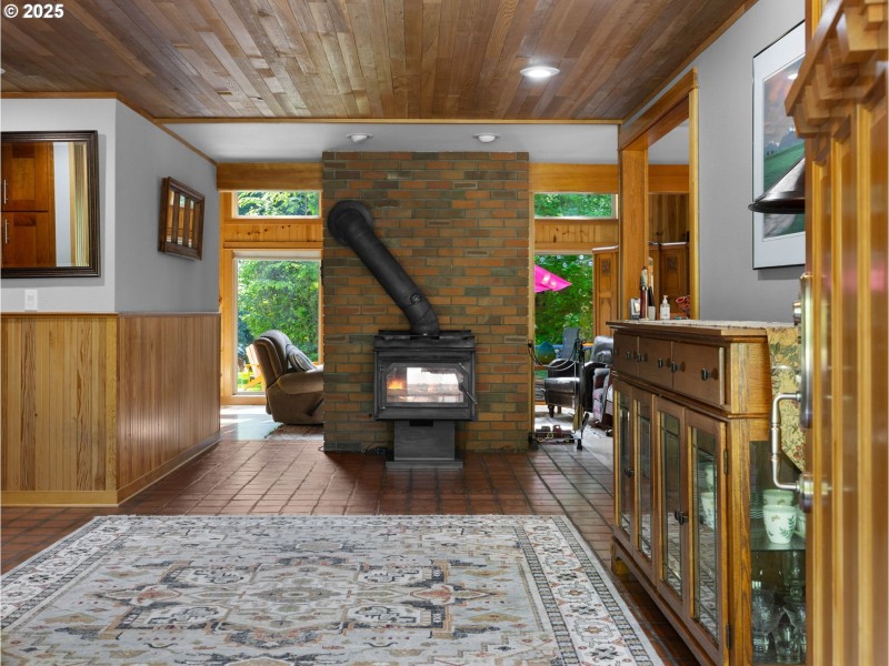 Fireplace Wood Burning Stove/Insert