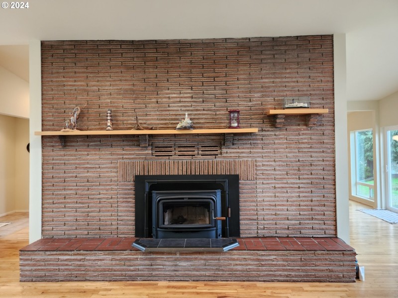 Fireplace Wood Burning Stove/Insert