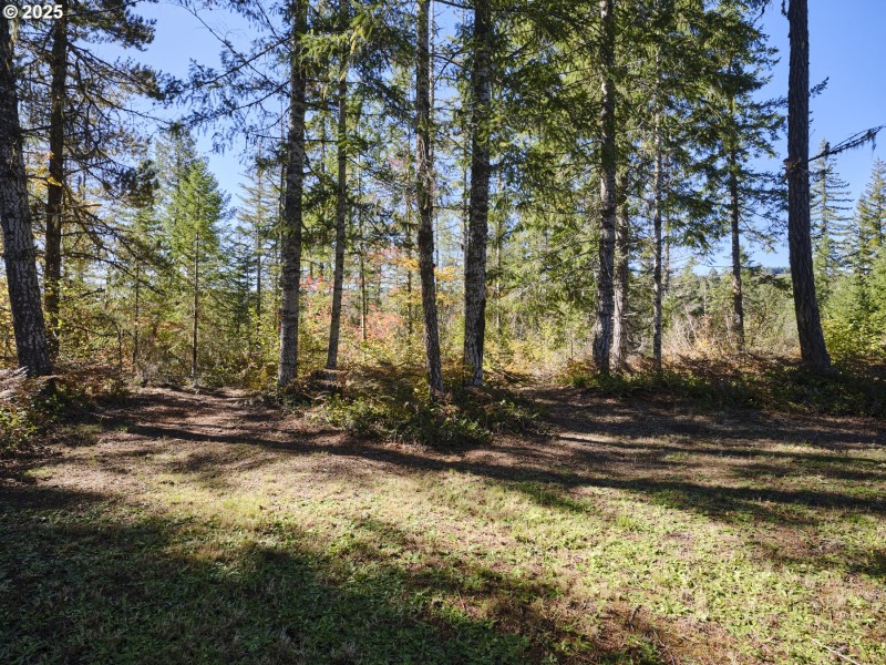 Acreage