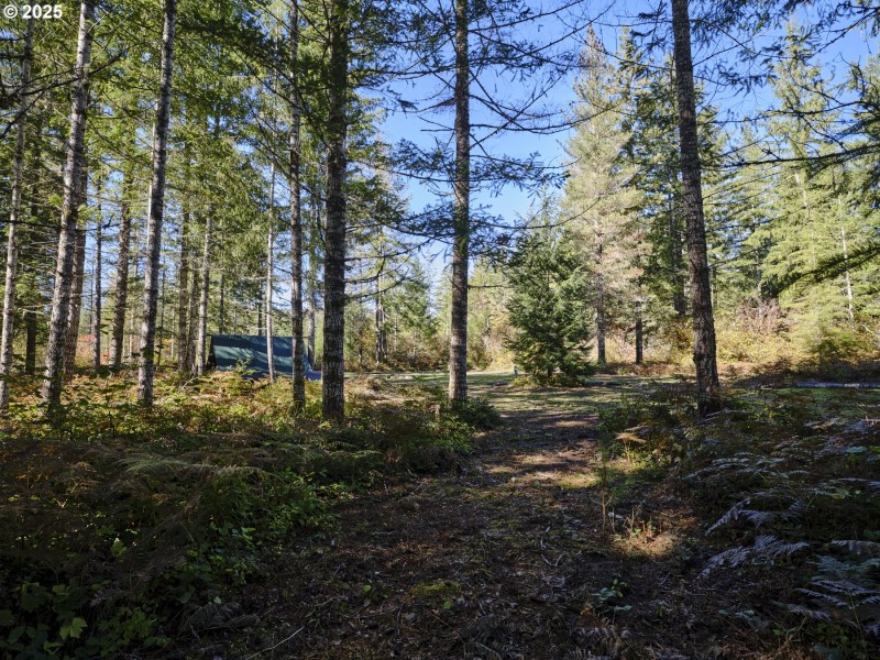 Acreage