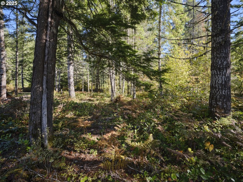 Acreage