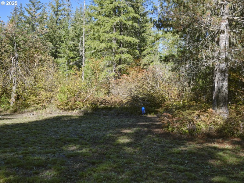 Home Site