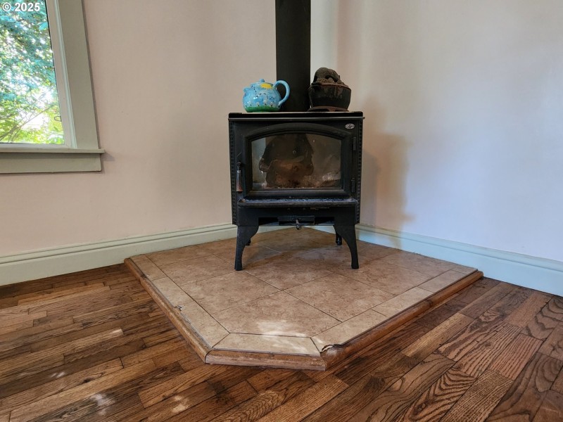 Fireplace Wood Burning Stove/Insert