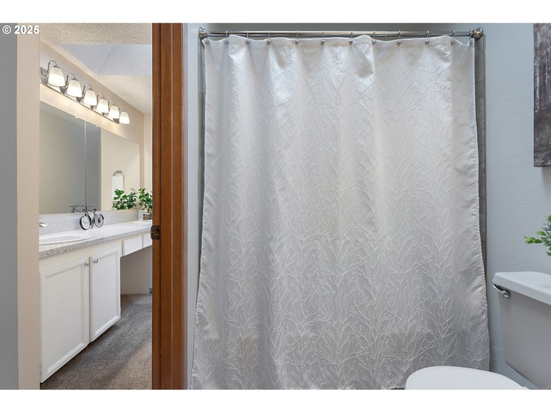 Owner's Suite Bathroom