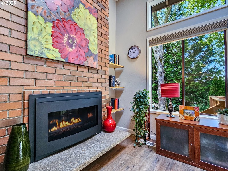 Fireplace Gas Burning Stove/Insert