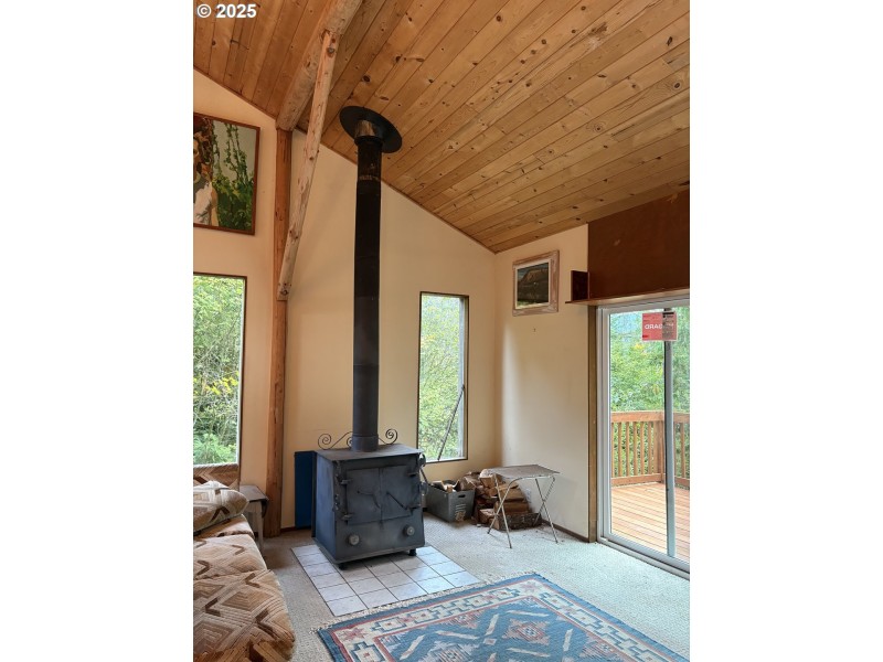 Fireplace Wood Burning Stove/Insert