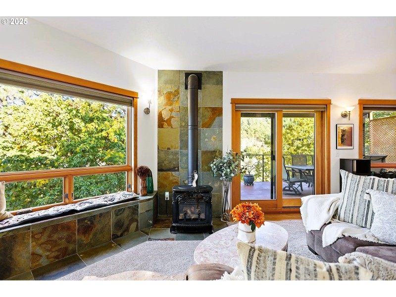 Fireplace Gas Burning Stove/Insert