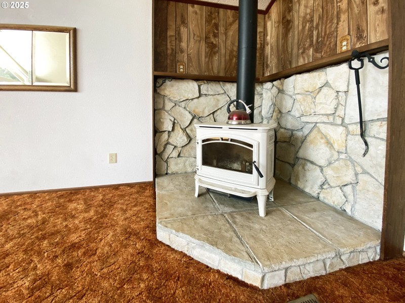 Fireplace Wood Burning Stove/Insert