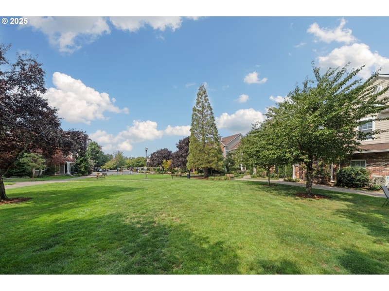 Community Amenities