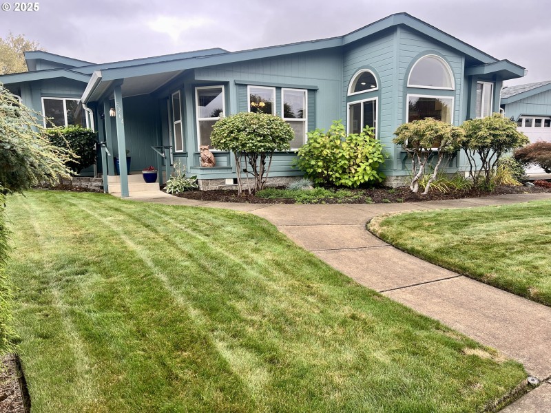 Front Yard