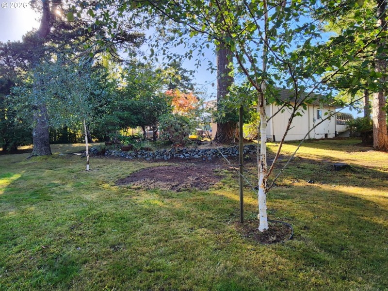 Front Yard