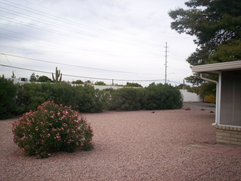 rear yard /oleander hedge