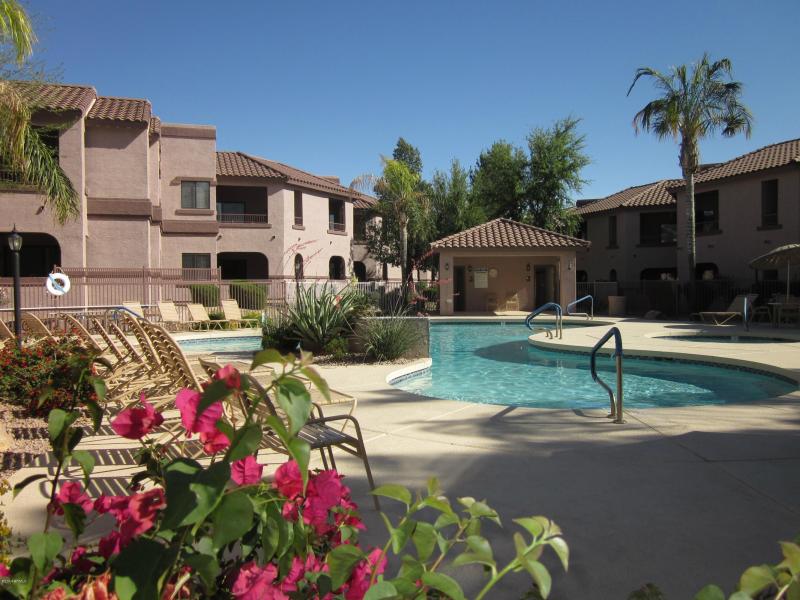 Communiuty Pool Area