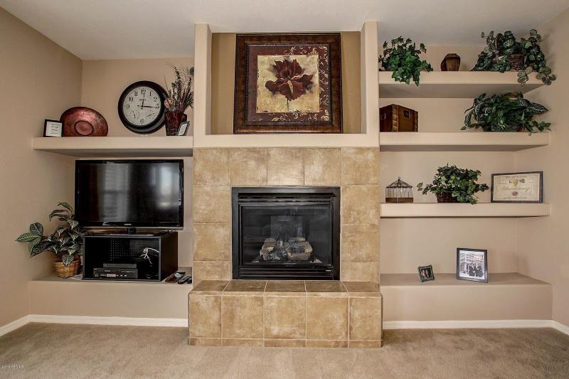 VTC 2064 GAS FIREPLACE