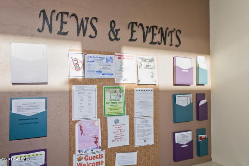 48 Different Social Organizations