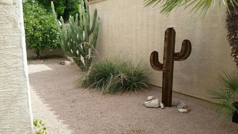 20170530_091839_resized