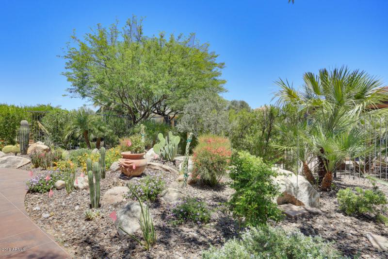 ...& PRIVACY OF THE DESERT BACKYARD