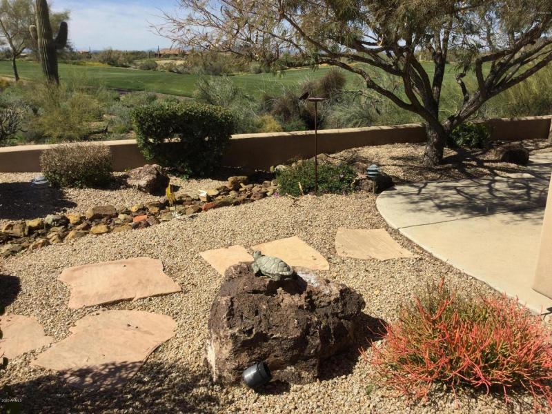 Backyard 2 - Raindance