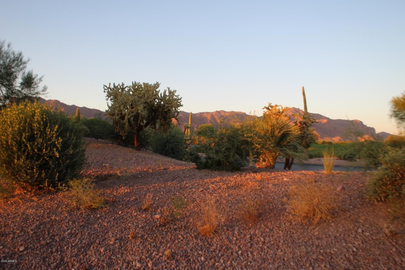 PONDEROSA 14