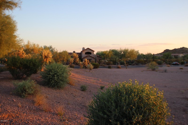 PONDEROSA 14
