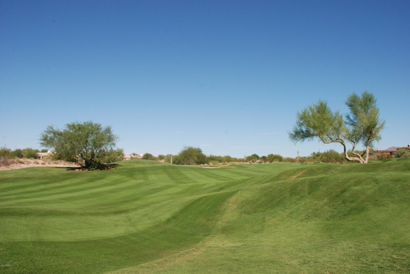 GRAYHAWK GOLF COURSE