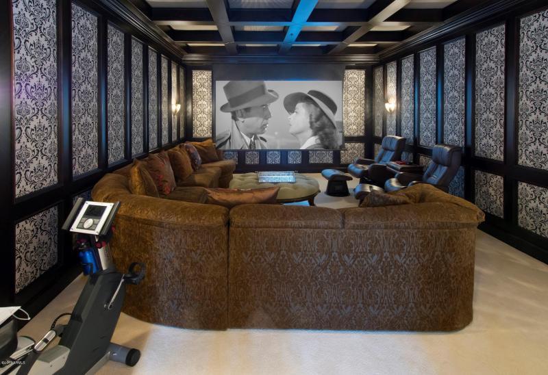 MOVIE THEATER ROOM W/DROP DOWN SCREEN