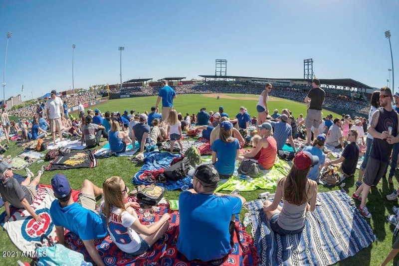 Spring Training Baseball