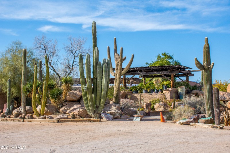 cactus nursery biz to the North (1 of 1)