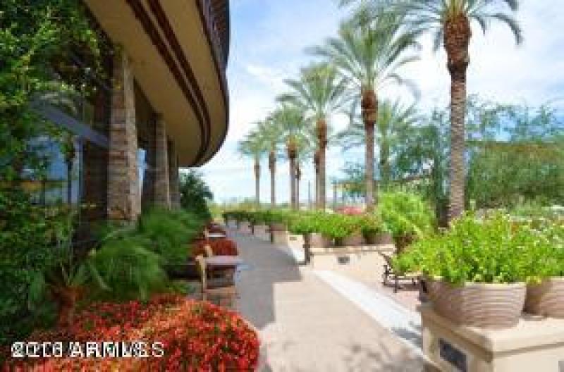 Beautiful Flowers Everywhere