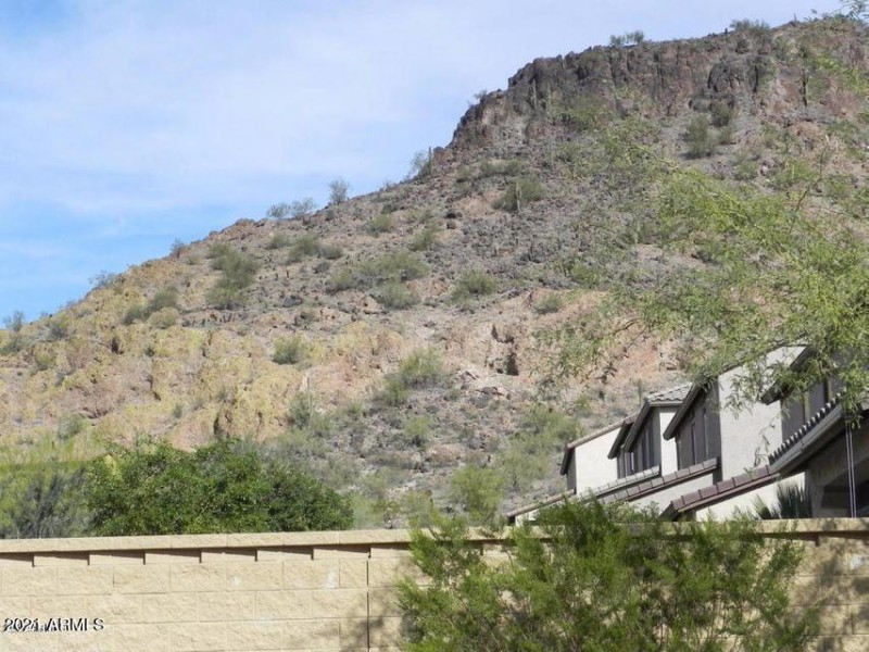 VIEW FROM BACKYARD