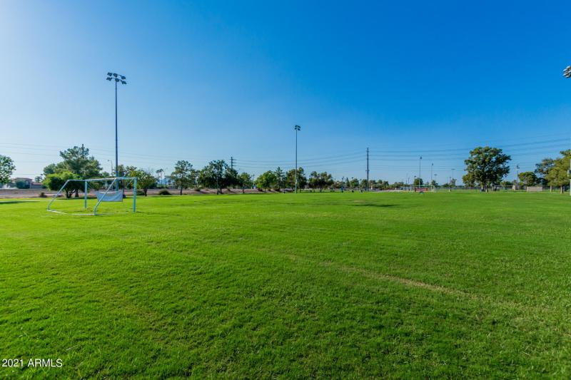 0031-31 - Orange Blossom