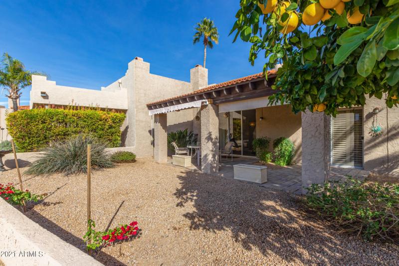 Back patio with fruit tree