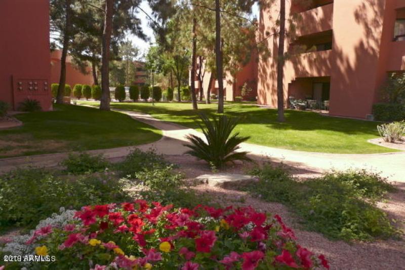 COLORFUL ANASAZI CACTUS GARDEN