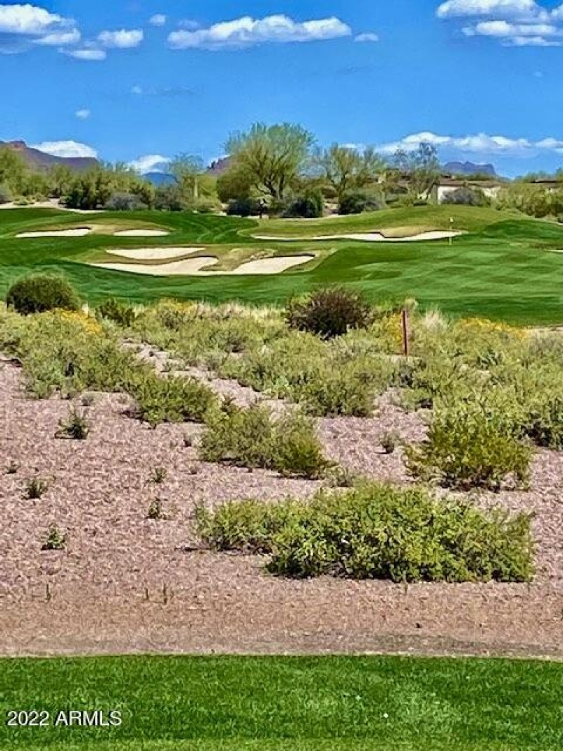 14th Hole