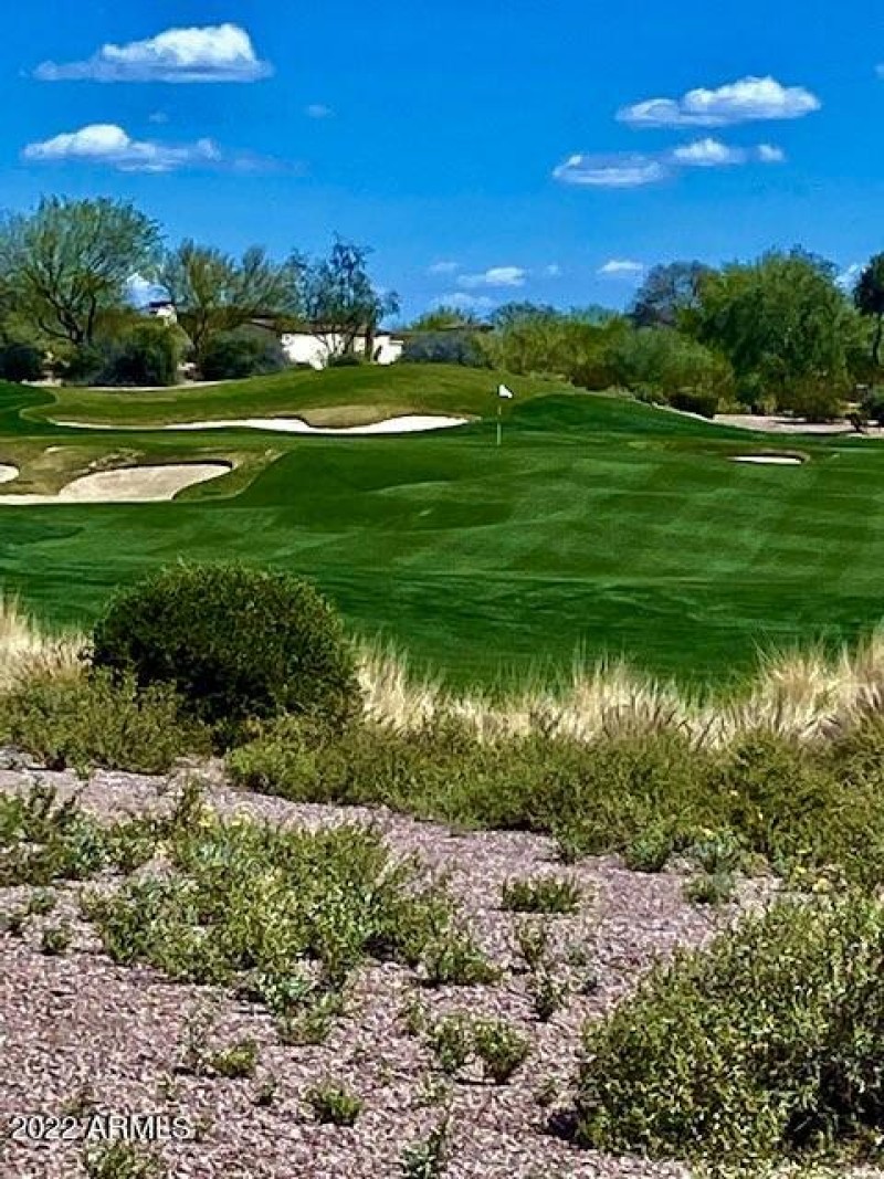14th Hole