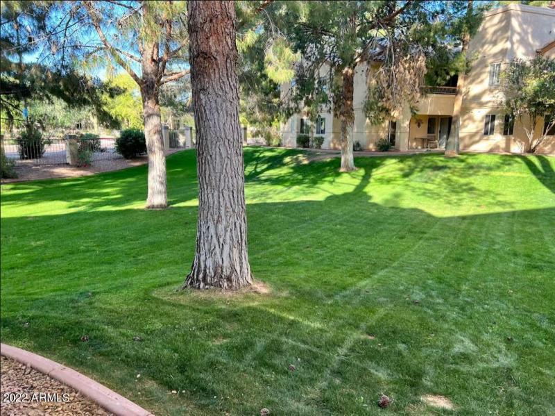 Screen Shot 2022-04-04 at 8.20.29 PM