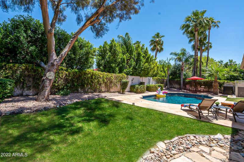 Grassy Area for Kids and Pets