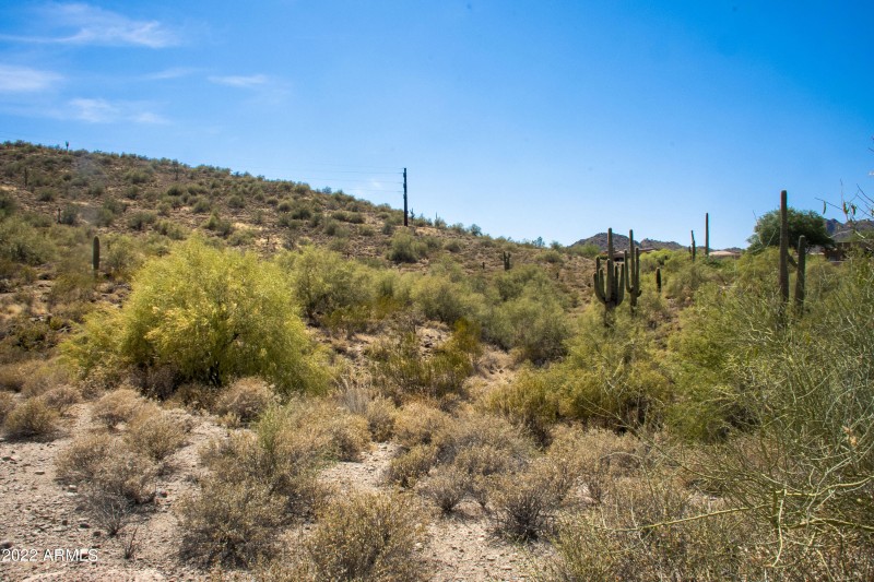 11888 Sunset Vista Lot 38