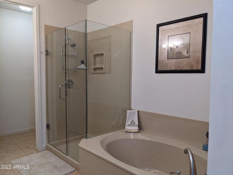 Walk-in Shower and Soaking Tub