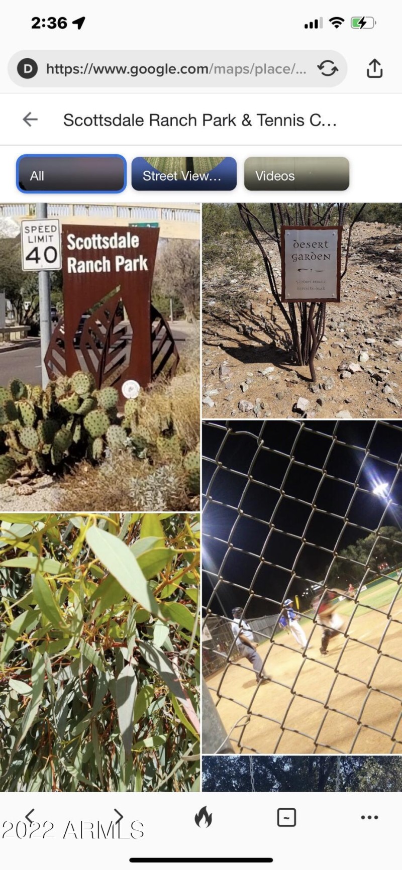 A7F225B3-639B-4102-9484-8A836F5BA0C4_1_1