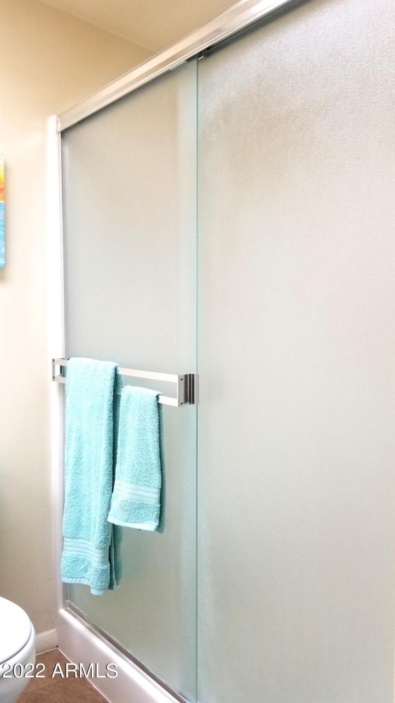 Master walk-in shower